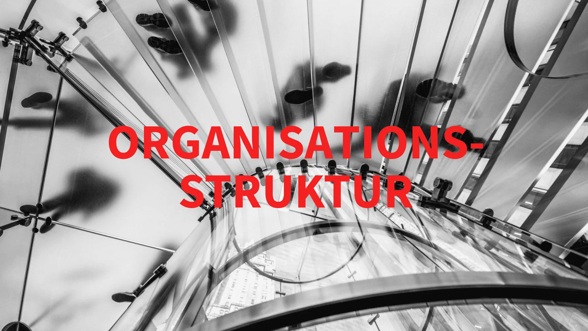 organisationsstruktur